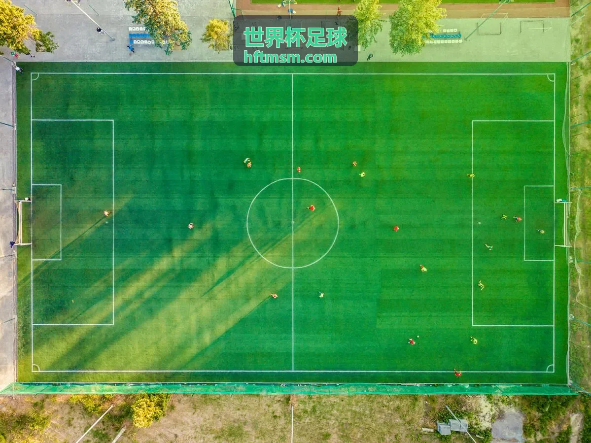 世界杯足球 - 赛前预测分析